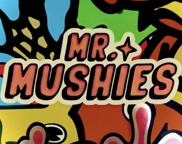 Mr Mushies Chocolate Mushroom Bars