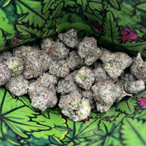 Pillows By Snooze Weed Strain For Sale